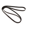Continental AG 4060478 Serpentine Belt Automotive Multi-V Belt