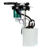Delphi FG1511 Fuel Pump Module Assembly Fuel Pump Module Assembly