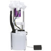 Delphi FG1665 Fuel Pump Module Assembly Fuel Pump Module Assembly