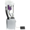 Delphi FG1969 Fuel Pump Module Assembly Fuel Pump Module Assembly