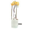 FG1981 by DELPHI - Fuel Pump Module Assembly
