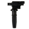 Delphi GN10303 Ignition Coil Ignition Coil