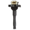 Delphi GN10335 Ignition Coil Ignition Coil