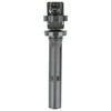 Delphi GN10387 Ignition Coil Ignition Coil