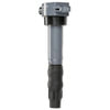 Delphi GN10440 Ignition Coil Ignition Coil