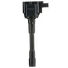 Delphi GN10884 Ignition Coil Ignition Coil