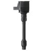 Delphi GN10734 Ignition Coil Ignition Coil
