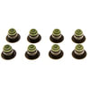 Mahle SS45892 Engine Valve Stem Oil Seal Set Engine Valve Stem Oil Seal Set