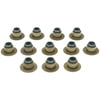 Mahle SS45963 Engine Valve Stem Oil Seal Set Engine Valve Stem Oil Seal Set