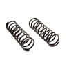 Moog 80135 Coil Spring Set Coil Spring Set
