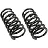 Moog 80555 Coil Spring Set MOOG 80555 Coil Spring Set