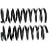 Moog 80906 Coil Spring Set Catalytic Converter - Universal