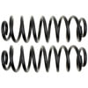 Moog 81051 Coil Spring Set Coil Spring Set