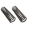 Moog 6204 Coil Spring Set Coil Spring Set