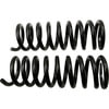 Moog 8732 Coil Spring Set Coil Spring Set
