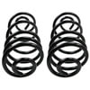Moog CC507 Coil Spring Set Coil Spring Set
