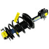 Moog ST8537L Suspension Strut and Coil Spring Assembly Suspension Strut and Coil Spring Assembly