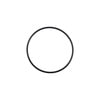 Cummins 145558 Seal Ring / Washer Seal Ring / Washer