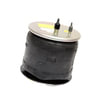 66865-002L by HENDRICKSON - Air Spring