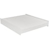 Baldwin PA10442 Cabin Air Filter CABIN AIR