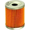 FRAM CH6066 Engine Oil Filter Element Motorcycle Full-Flow Lube Cartridge