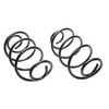 ACDelco 45H2017 Coil Spring Set ACDELCO 45H2017 -