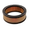 ACDelco A904C Engine Air Filter Air Filter