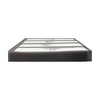 ACDelco CF160 Cabin Air Filter CABIN FILTER (GSMP)