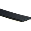 7K951 by ACDELCO - Serpentine Belt