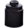 Premium Guard PF99085 Fuel Filter