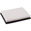 Premium Guard PA5372 Engine Air Filter pa5372
