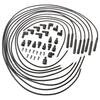 Standard Ignition 3800 Spark Plug Wire Set Universal Wire Set