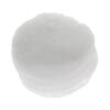 Standard Ignition CF-1 Vapor Canister Filter Fuel Vapor Canister Filter