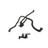 Standard Ignition CP818 Vapor Canister Purge Solenoid Canister Purge Solenoid