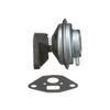 Standard Ignition EGV704 Exhaust Gas Recirculation (EGR) Valve EGR Valve