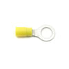 HP2040 by STANDARD IGNITION - PRIMARY IGNITION