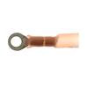 HP6660 by STANDARD IGNITION - PRIMARY IGNITION