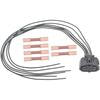 Standard Ignition S2815 Accelerator Pedal Sensor Connector Accelerator Pedal Sensor Connector