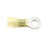 Standard Ignition STP128H Primary Ignition Terminal Primary Ignition Terminal - Heat Shrink Terminal