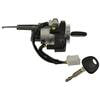 Standard Ignition US674L Ignition Lock Cylinder Ignition Lock Cylinder