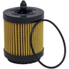 FRAM DL9018 Engine Oil Filter Element Defense Filters, DL9018, Oil Filters