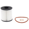FRAM XG10066 Engine Oil Filter Element Cartridge Oil Filter
