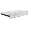 CF10373 by FRAM - Fresh Breeze Cabin Air Filter