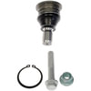 539-891 by DORMAN - Suspension Ball Joint - Rear, Lower, Pinch Bolt, Press In, Non-Greasable
