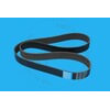 1007616 by BLUMAQ - Accessory Drive Belt - 25 in x 4.3 in x 1.3 in, Fit for Caterpillar Applications