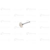 Blumaq 3142L071 Engine Intake Valve Engine Intake Valve - fit for Komatsu Applications