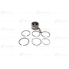 Blumaq 3801554 Engine Piston Kit Engine Piston Kit - 3.6 in x 3.6 in x 4.2 in, Fit for Caterpillar Applications