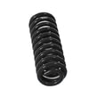 Fabtech FTS137 Coil Spring Set Coil Spring Kit; Front; For 6 in. Lift; For