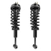 Unity Automotive 2-11890-001 Suspension Strut Assembly Kit Suspension Strut and Coil Spring Assembly Set