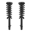 Unity Automotive 2-11237-11238-001 Suspension Strut Assembly Kit Suspension Strut and Coil Spring Assembly Set